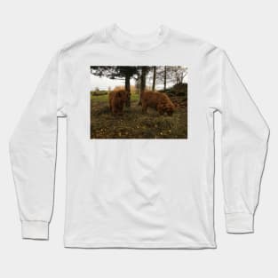 Scottish Highland Cattle Calves 1836 Long Sleeve T-Shirt